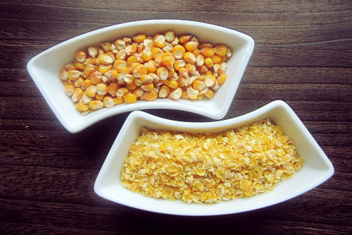 Mais - corn - maize